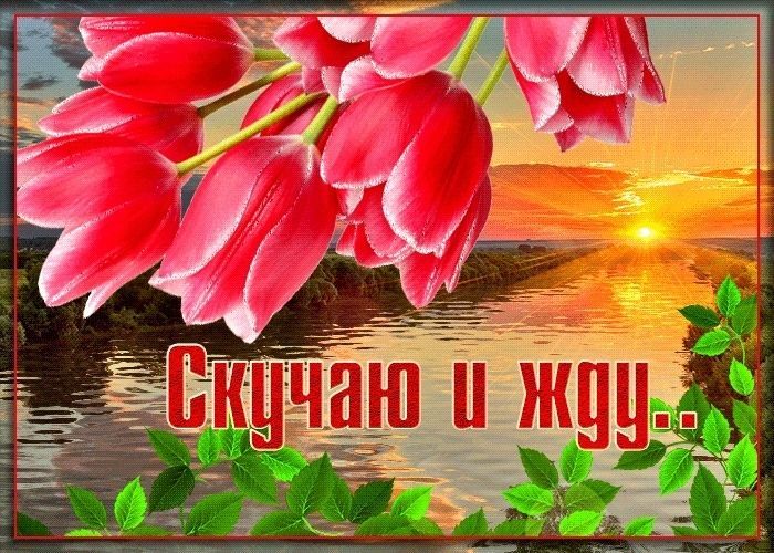 картинка скучаю по тебе, люблю, любовь