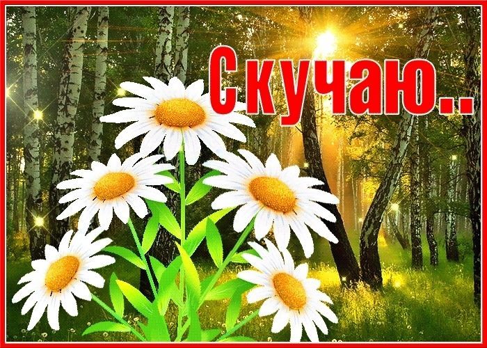 картинка скучаю по тебе, люблю, любовь