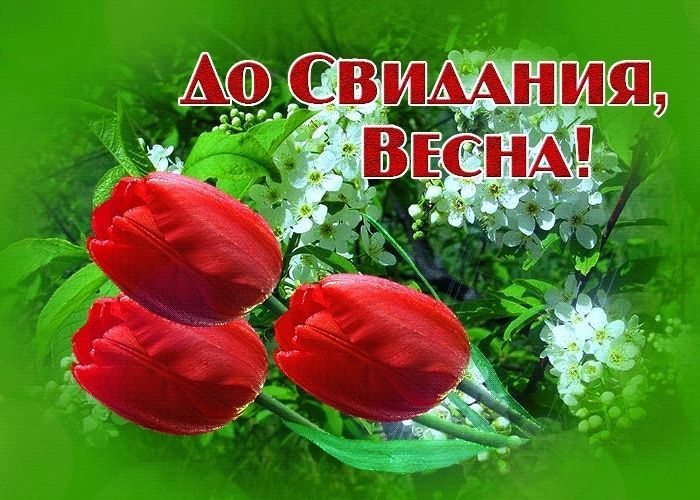 31 мая последний день весны