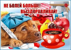выздоравливай, не болей, пожелание здоровья