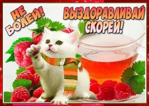 выздоравливай, не болей, пожелание здоровья