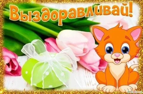 выздоравливай, не болей, пожелание здоровья