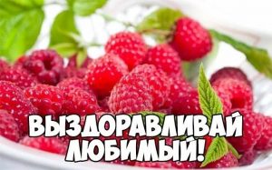 выздоравливай любимый