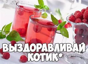 выздоравливай любимый