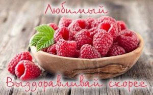 выздоравливай любимый