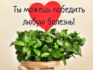 выздоравливай, не болей, пожелание здоровья