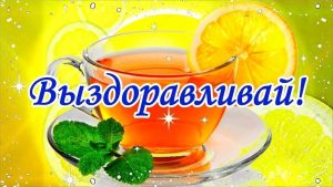 выздоравливай