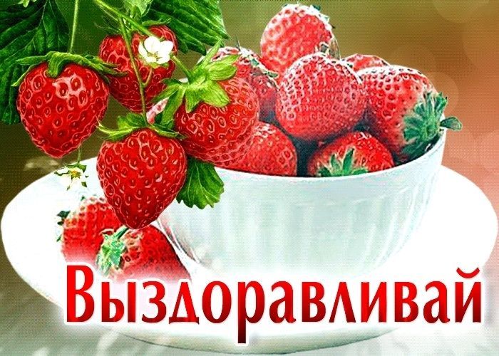 выздоравливай