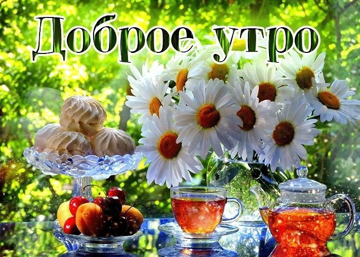 Доброе летнее утро