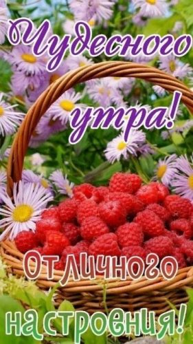 доброе летнее утро