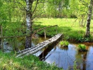 лес, природа, пейзаж, мосток, речка