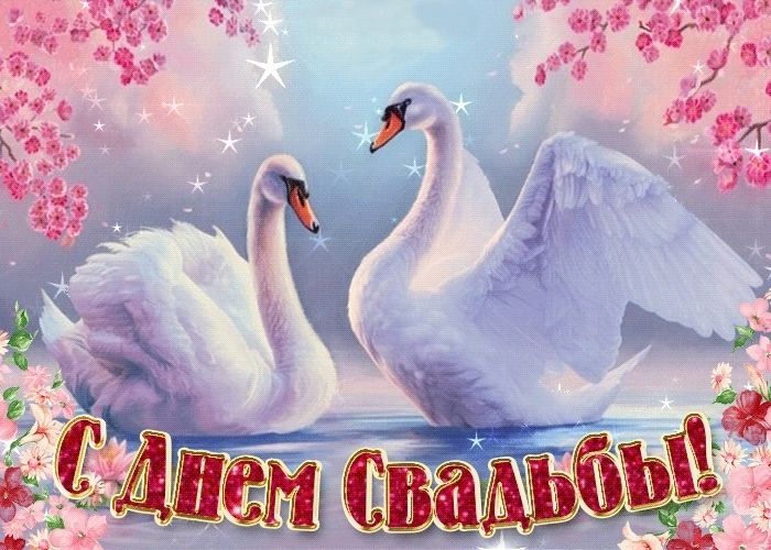 с днем свадьбы, день свадьбы, свадьба