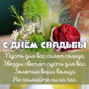 с днем свадьбы, день свадьбы, свадьба