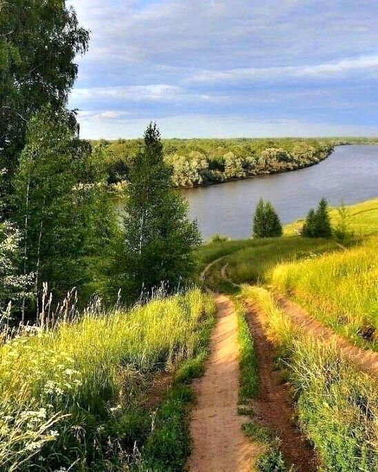 природа, река, пейзаж, дорога лесная, лес, Россия, Родина