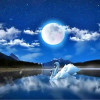 Луна, ночь, лебеди