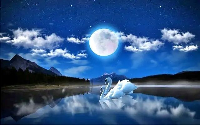Луна, ночь, лебеди