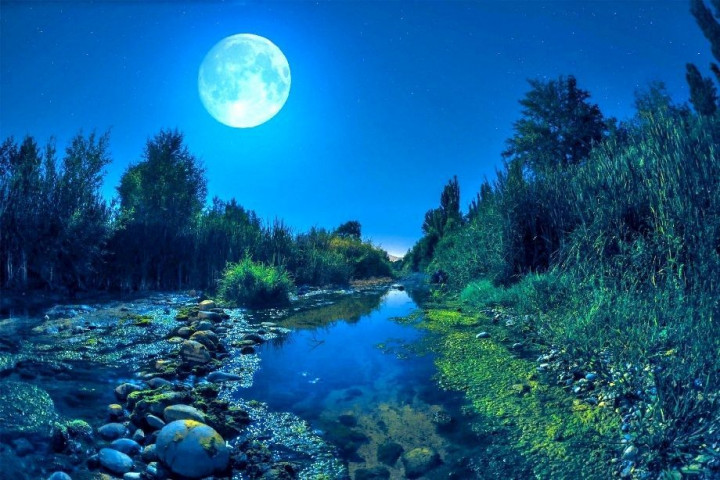 луна, ночь, природа