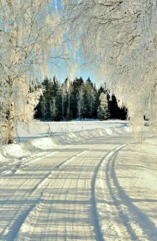 зима, дорога, снег, лес