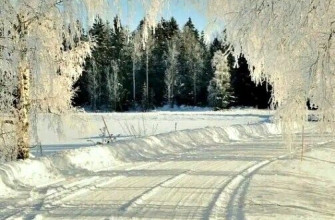 зима, дорога, снег, лес