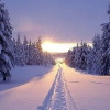 Зимняя дорога снег зима