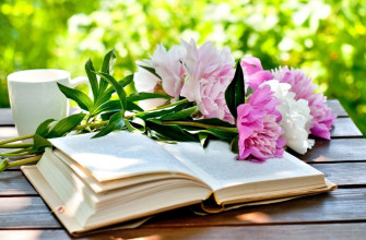 цветы, книга, чай, лето