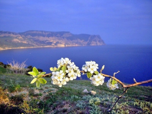 весна на черном море, Крым