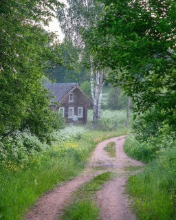 лес, домик, лето, природа, пейзаж