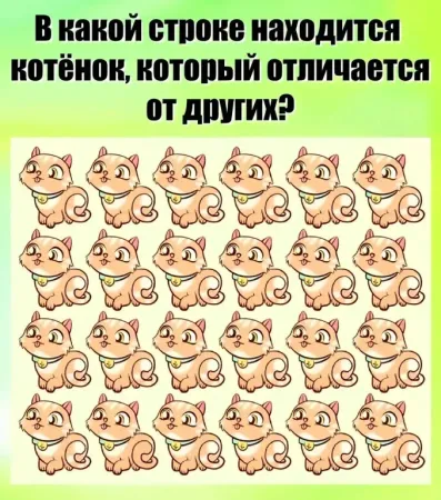 В какой строке этот котёнок?