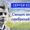 свищет ветер