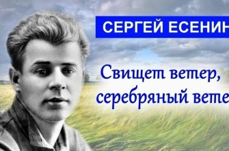 свищет ветер