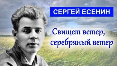 свищет ветер