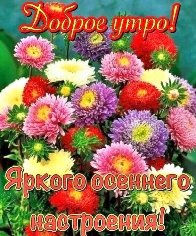 доброе осеннее утро, с добрым осенним утром