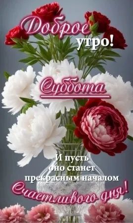 доброе утро суббота, с добрым утром субботы