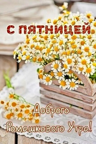 с добрым утром пятницы, доброе утро пятница