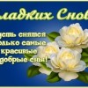 спокойной ночи сладких снов