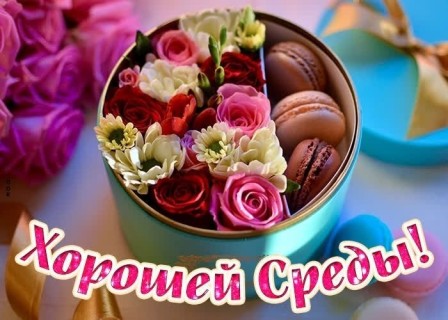 среда, хорошей среды