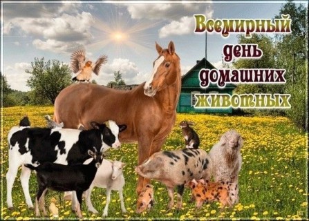 день домашних животных