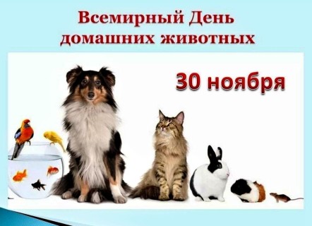 день домашних животных