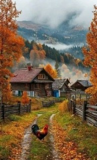 осень, деревня