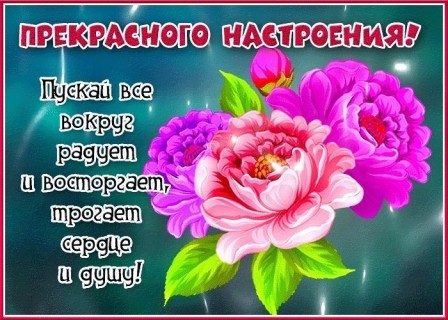 прекрасного настроения