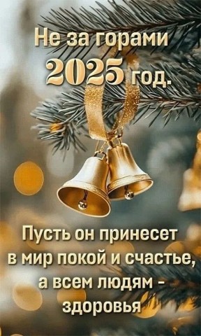 2025 год