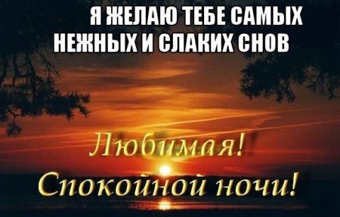 спокойной ночи любимая