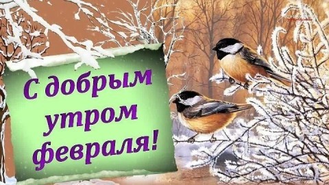 доброе утро февраля, с добрым утром февраля