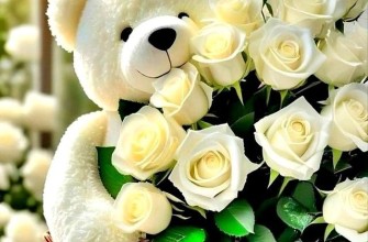 розы, мишка, медвежонок, цветы