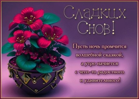 спокойной ночи 