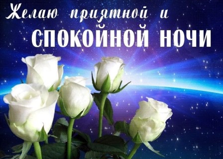 спокойной ночи 