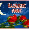 спокойной ночи