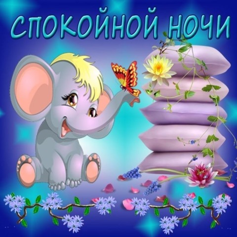 спокойной ночи