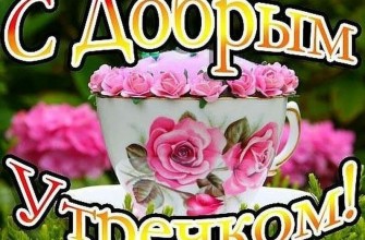 доброе утро девушке женщине девочке