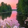 вечер, природа, ромашки, лес, река